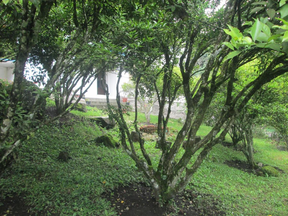 Casa Martin En Banos De Agua Santa 빌라 외부 사진